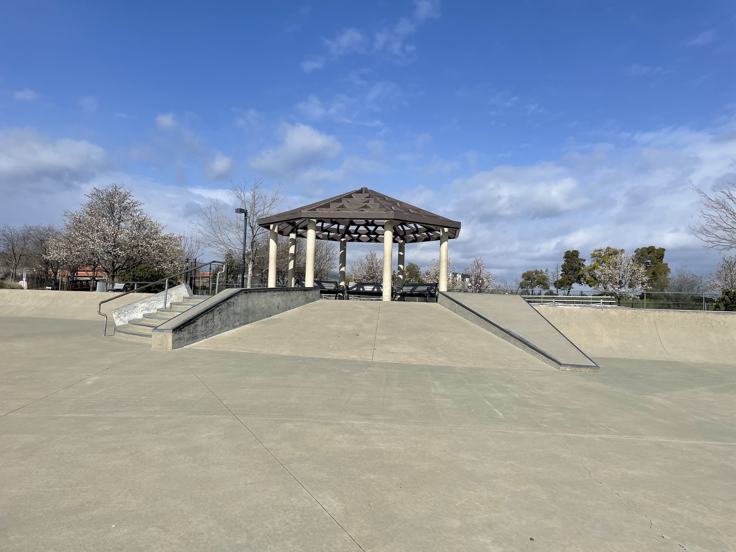 Pleasanton skatepark